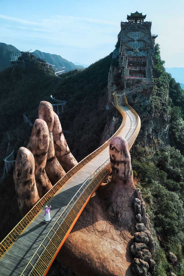 唔係去外國，而係為咗呢個佛手，我去咗一趟杭州……