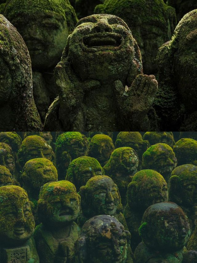 遍地表情包，這大概是京都最可愛的寺廟！