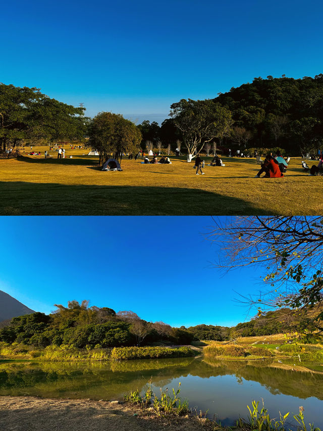 📍深圳｜恩上濕地公園👉週末吸氧好去處