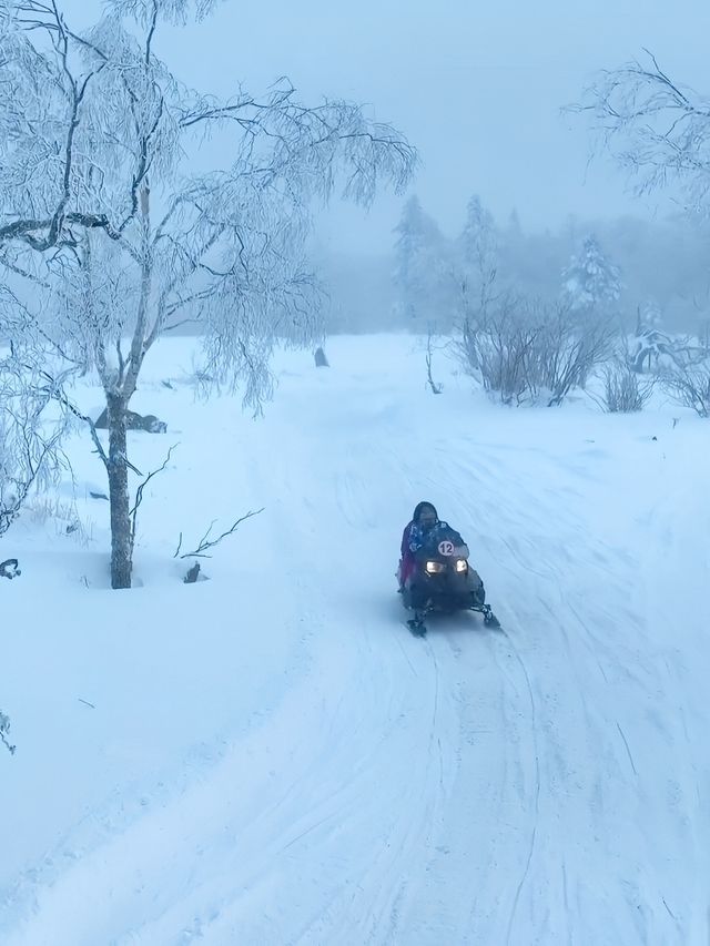 牡丹江三日林海雪原與鏡泊湖風光之旅