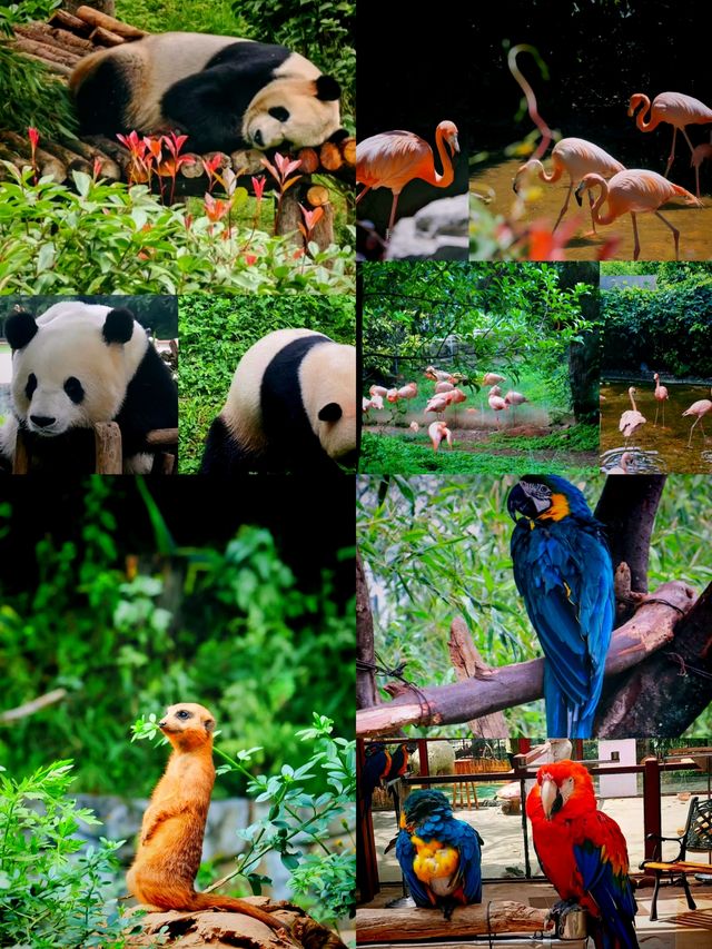 野生動物園邂逅生態精靈