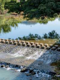 廈門-鼓浪嶼-福建土樓4日漫遊 邂逅不一樣的風情