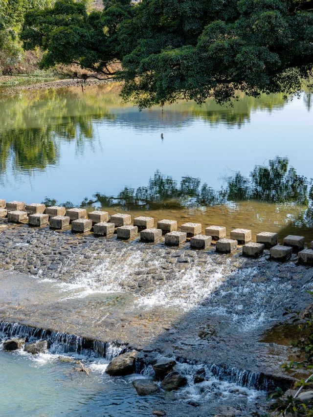 廈門-鼓浪嶼-福建土樓4日漫遊 邂逅不一樣的風情