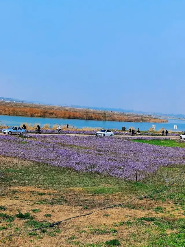 Stunning Hutuo River in Shijiazhuang/Altay, a perfect spot for photoshoots