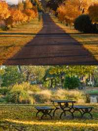 圖文巴：從皇后公園到日本花園的繽紛奇遇