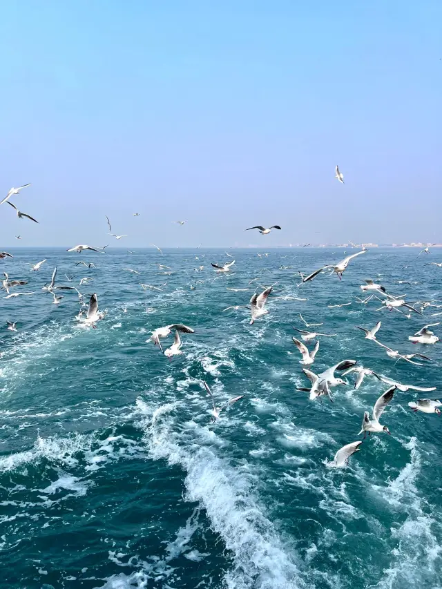 5-Day Trip to Discover the Beauty of Qingdao, Weihai, and Yantai: Your Ultimate Guide