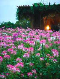 闖進莫奈花園的仲夏夜之夢