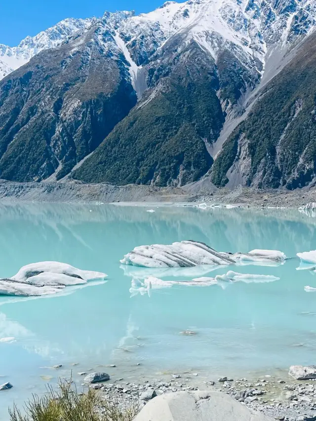 ニュージーランド14日間ツアー 清明節旅行に最適