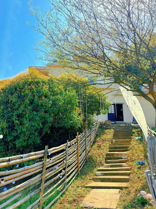 隱藏在花海的法式咖啡館，春日必訪！