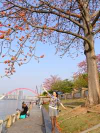 醉美木棉｜紅色蔓延到了廣州喜臨院