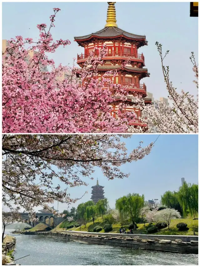 洛陽受罪已回，要去嘅姐妹要諗清楚