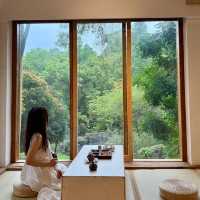 🍵深圳新晉擺爛聖地 | 筆架山公園茶館✨