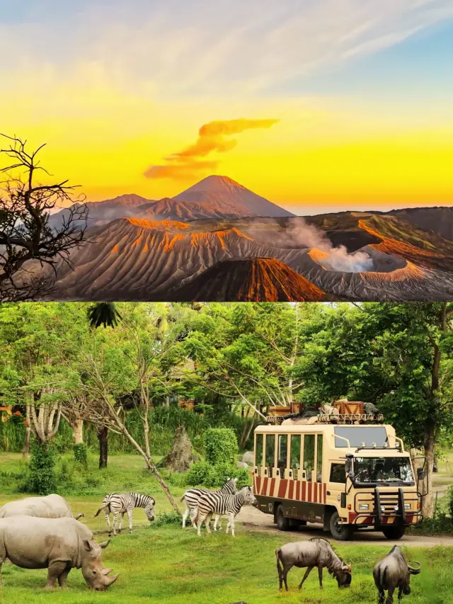 Bali Travel Guide