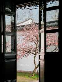 Experience the Enchanting Spring in Suzhou