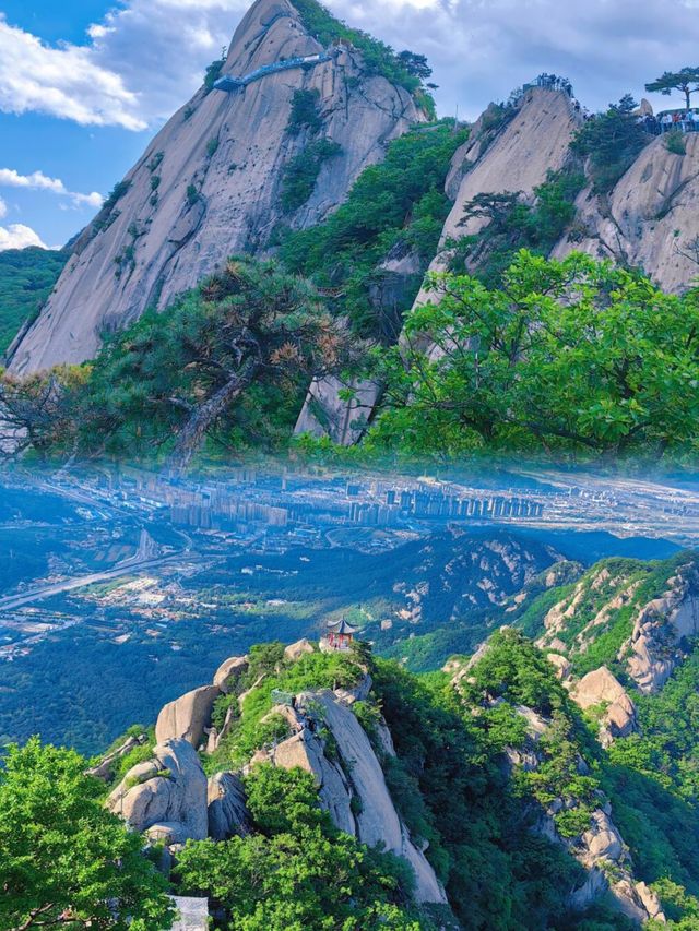 最成功的潮流之旅