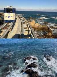 在蔚珍郡，與大海來一場「蟹」逅之旅