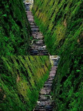 You Won't Regret It! Wuyishan 2-Day, 1-Night Travel Guide