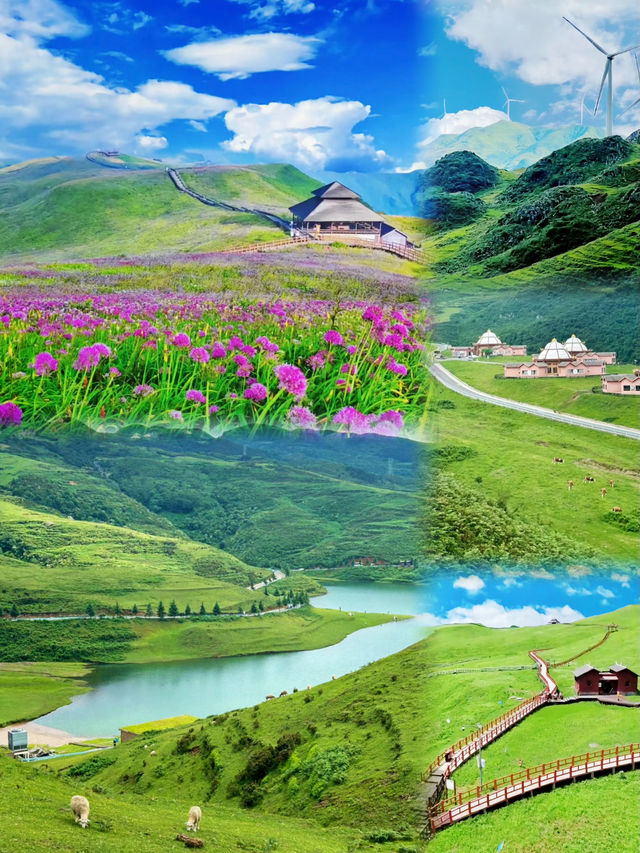 貴州•畢節｜五日遊攻略花海之旅