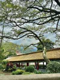 靈山祈願：指南宮的幽然心境