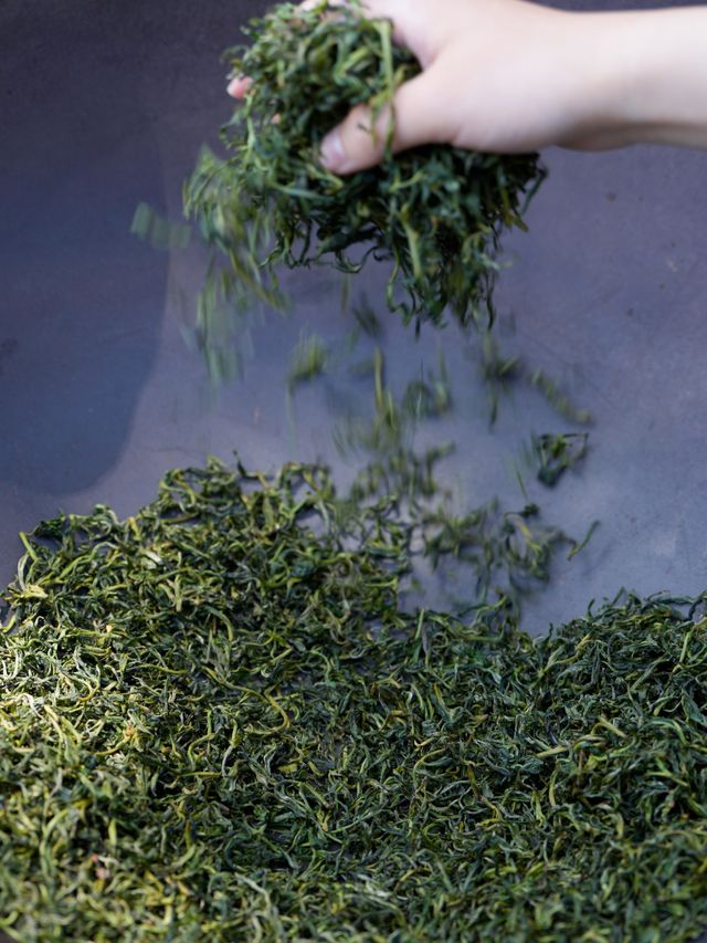 喺未晞園嘅茶園，親手炒製一杯春茶