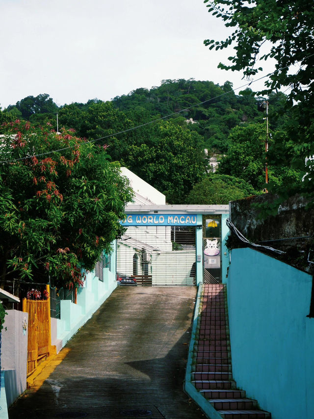 澳門路環 | 尋覓遺世獨立的漁村浪漫