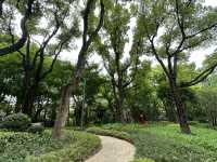 輔德里公園—疊石瀑布、杜鵑花海