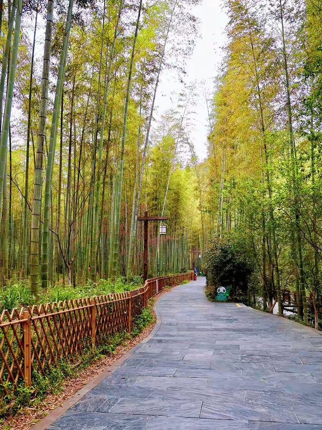 南山竹海充電之旅 | 在"天然氧吧"裡看"怡然自得"具象化