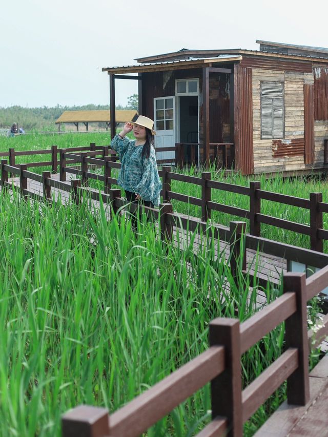 51去哪兒｜寧波前灣新區2天1晚暢玩全攻略