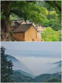 五月帶爸媽出遊 | 高鐵直達的小眾寶藏地
