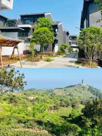 五一去邊玩？信陽毛尖茶旅路線來啦！