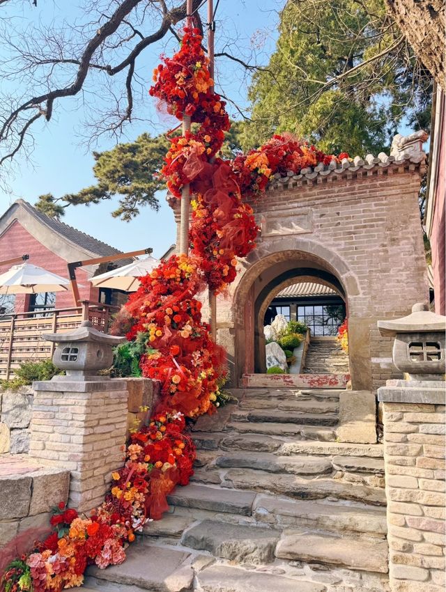 悉曇酒店| 半是青山，半是閒·上半日！