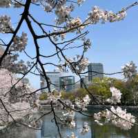 🇯🇵大阪｜我的天！這根本是柯南迷的天堂吧