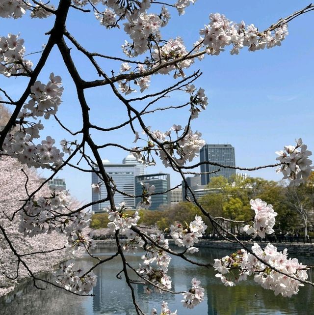 🇯🇵大阪｜我的天！這根本是柯南迷的天堂吧