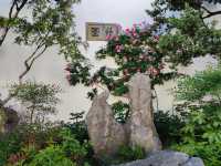 暮春的怡園