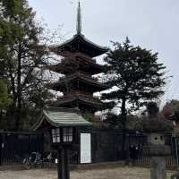 🌸東京上野公園新生｜春日限定的浪漫重啟🌿