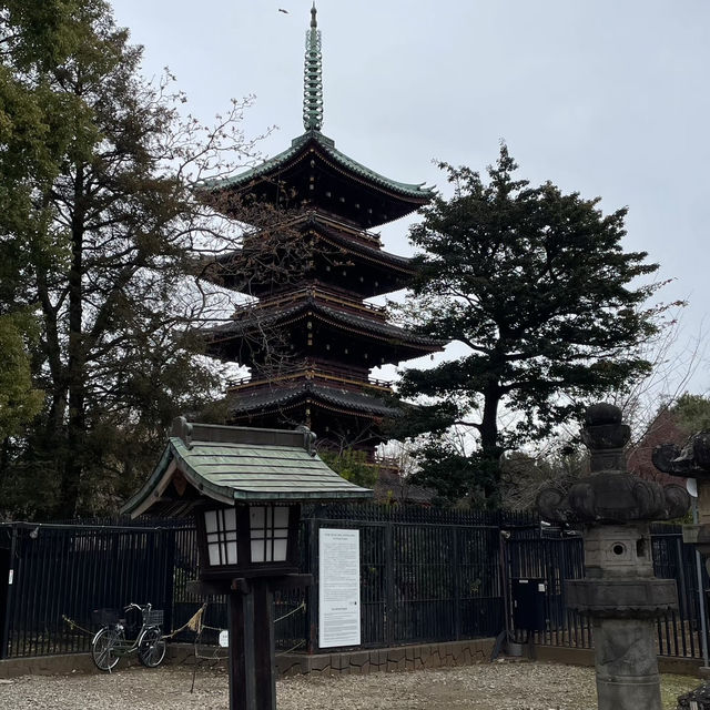 🌸東京上野公園新生｜春日限定的浪漫重啟🌿