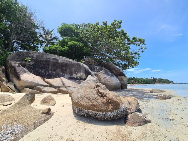 蘇梅島質感獨特度假酒店體驗