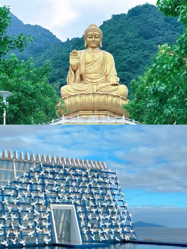 汕尾已回，說點難聽大實話。