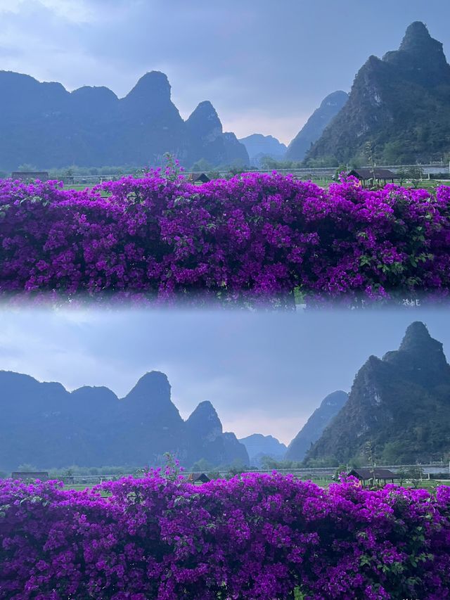 你的明仕之旅，從此處開始