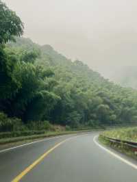 自駕最美的四明山盤山公路：滸溪線