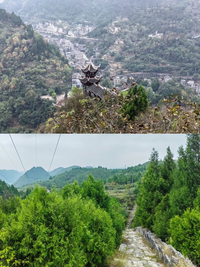鎮遠已回，說點真心話
