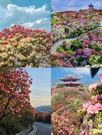清明6個好去處！
