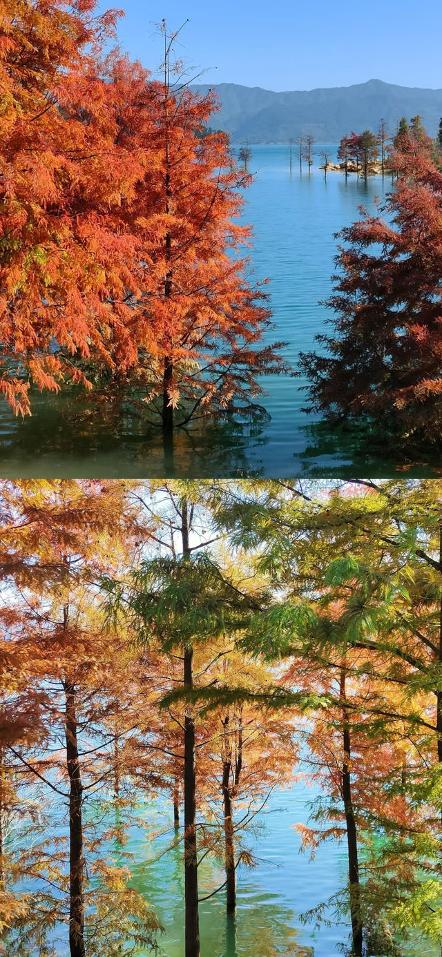 郴州白廊 | “湖南小洱海”遊玩攻略