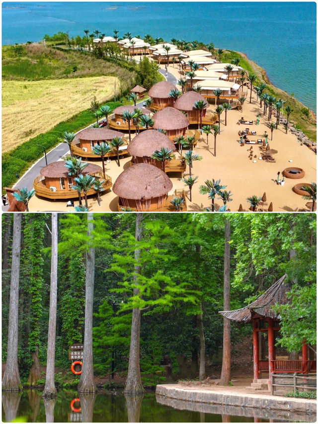 信陽受罪已回，要去嘅姐妹慎重
