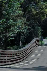 昆明翠湖麗瑞德酒店——昆明海洪濕地公園