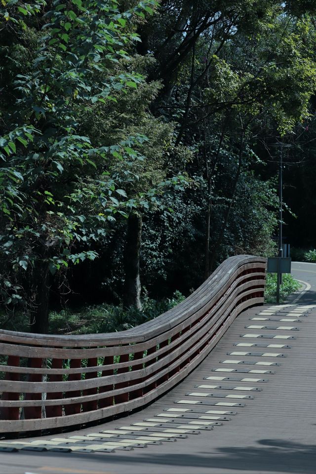 昆明翠湖麗瑞德酒店——昆明海洪濕地公園