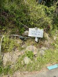 飛鵝回首，群山之間望九龍