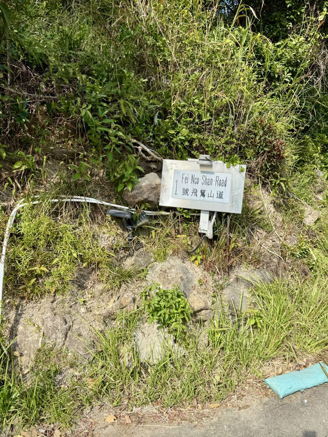 飛鵝回首，群山之間望九龍