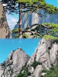 黃山雲海現場實錄