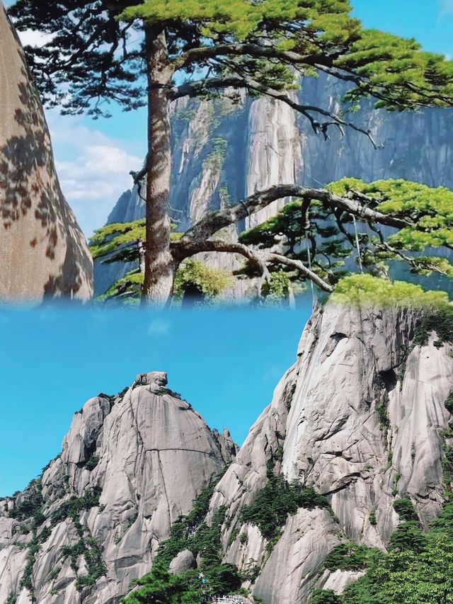 黃山雲海現場實錄